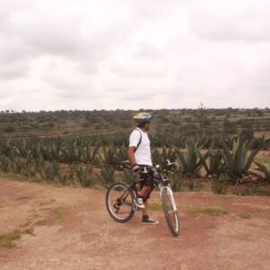 Paseo en bici (renta de bici)