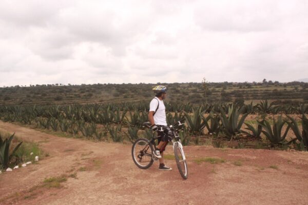 Paseo en bici (renta de bici)