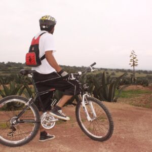 Paseo en bici