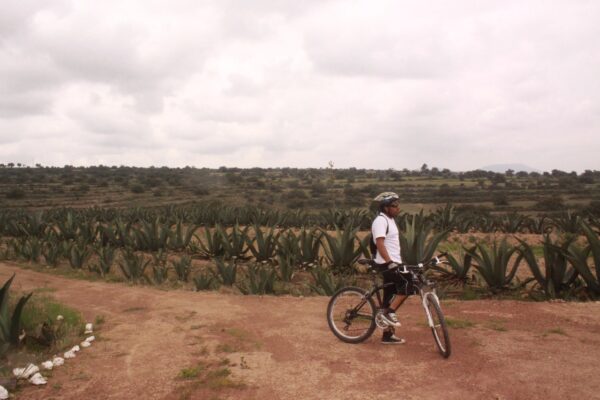 Paseo en bici - Imagen 2